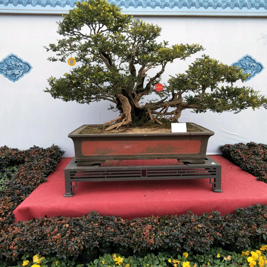 吖吖922
