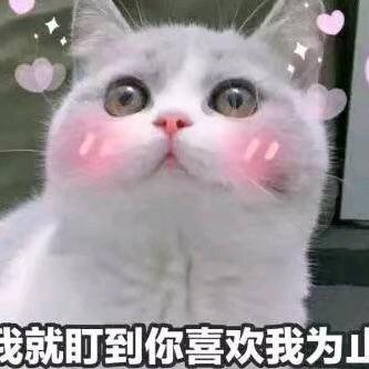 努力早起👏