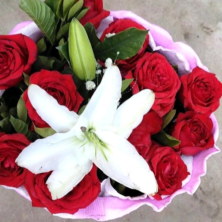 彼岸花开，那一抹微笑