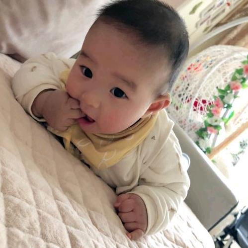 喜羊羊