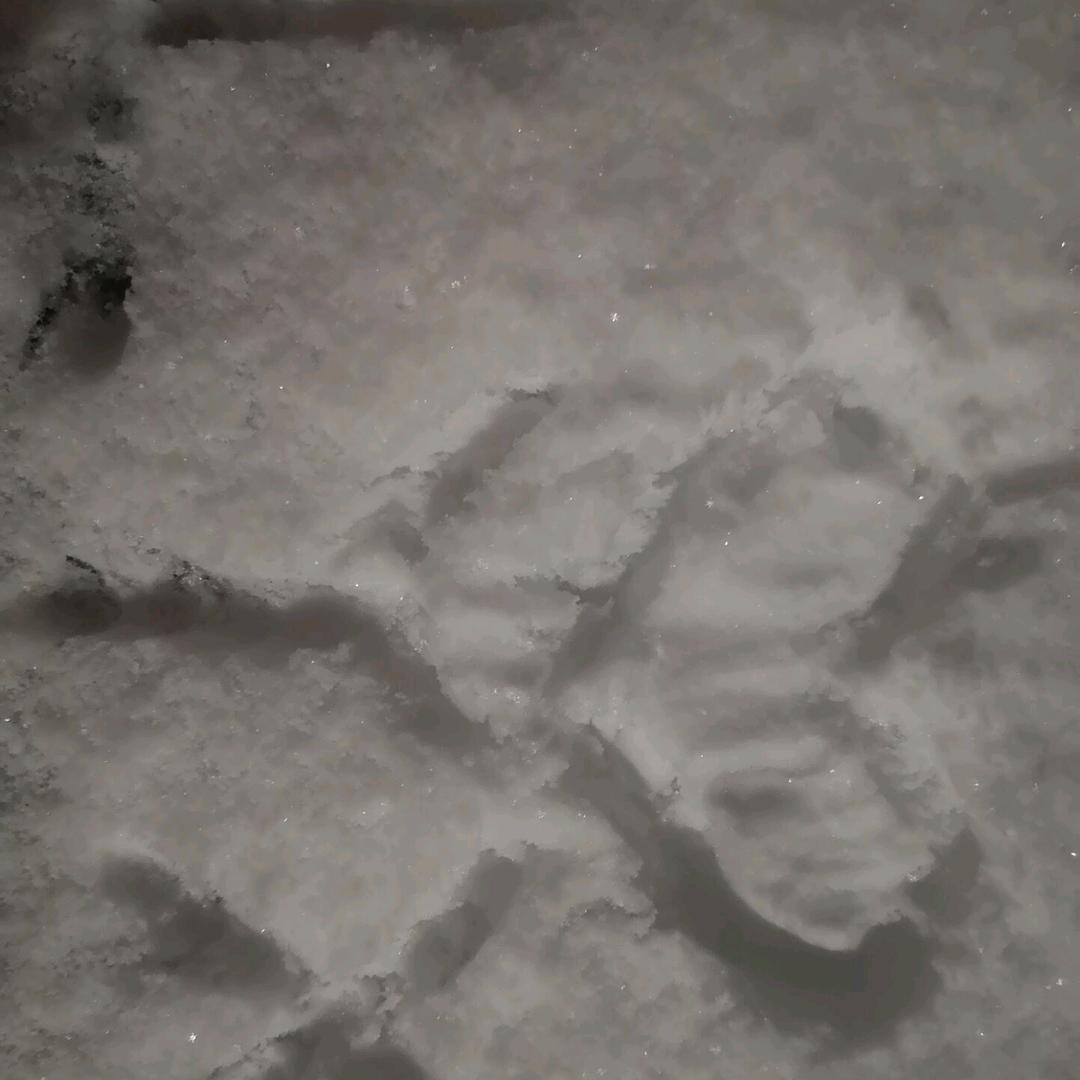 油怪^