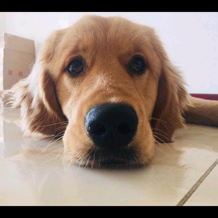财神爷爱我💕