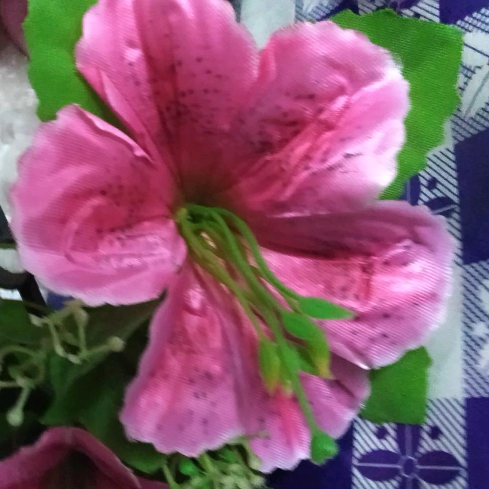 听雨
