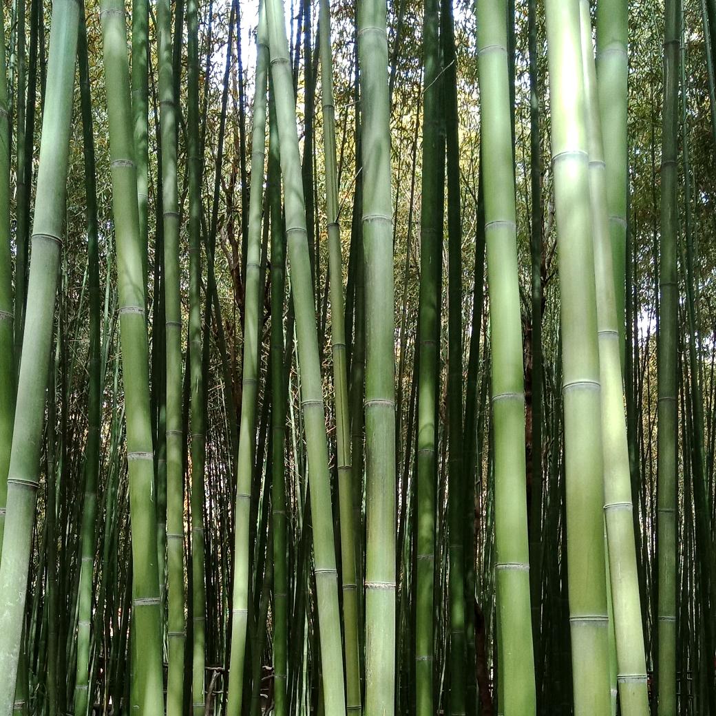 健康是福