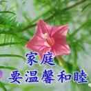 幸福永恒