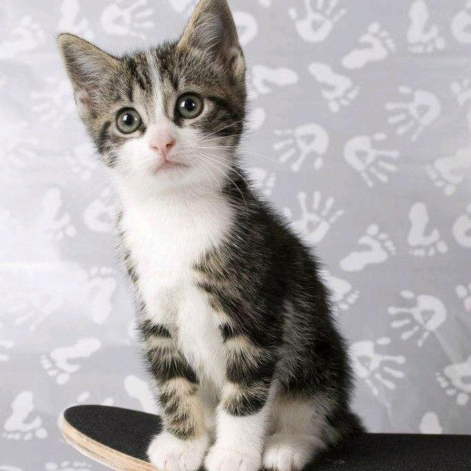 宁波海曙永权熟食店