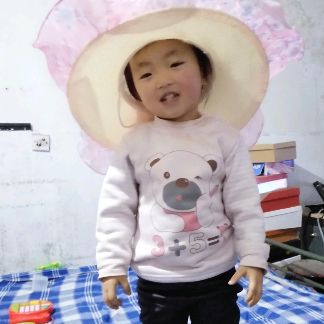 蝶舞之恋