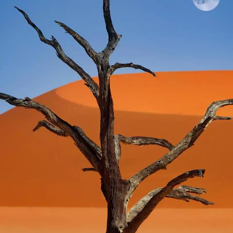 草原不是我的家