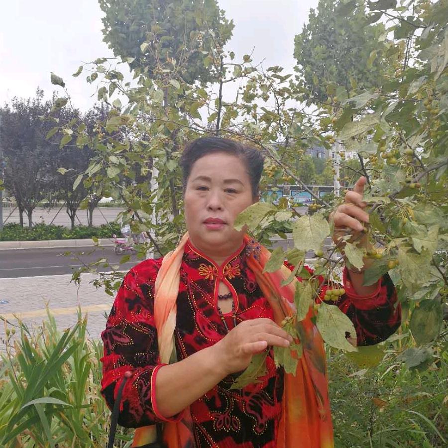 你是风儿我是沙