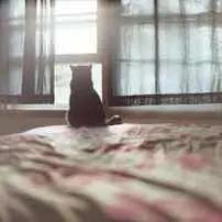 光脚丫丶闯天下