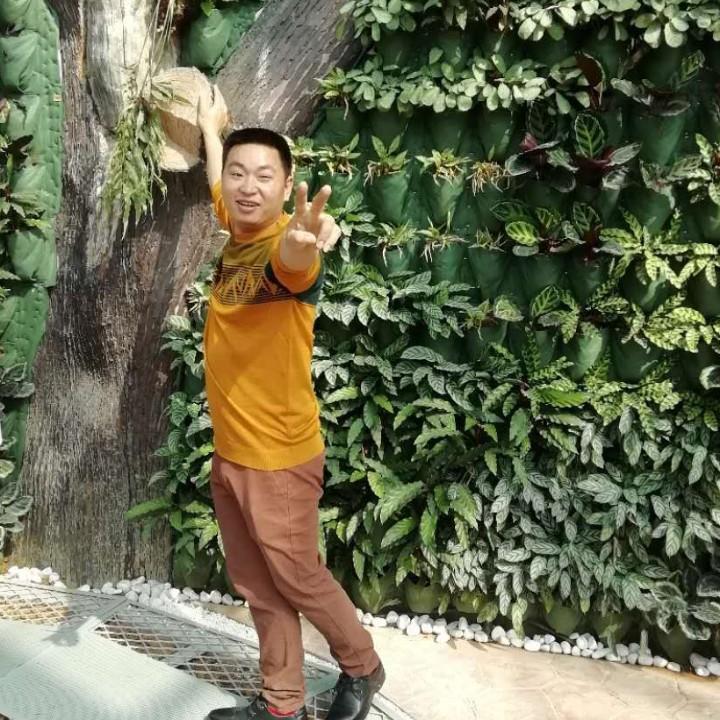 阳光面条哥