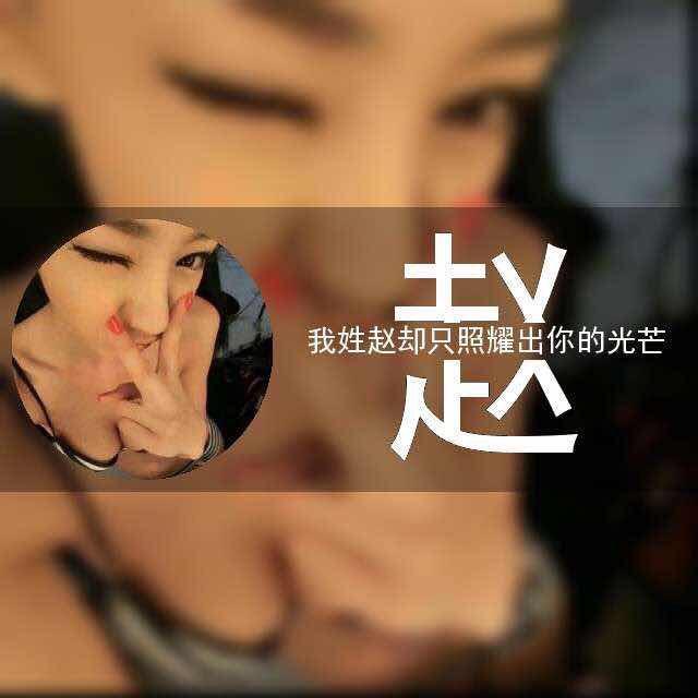 夜光下的小猫咪697