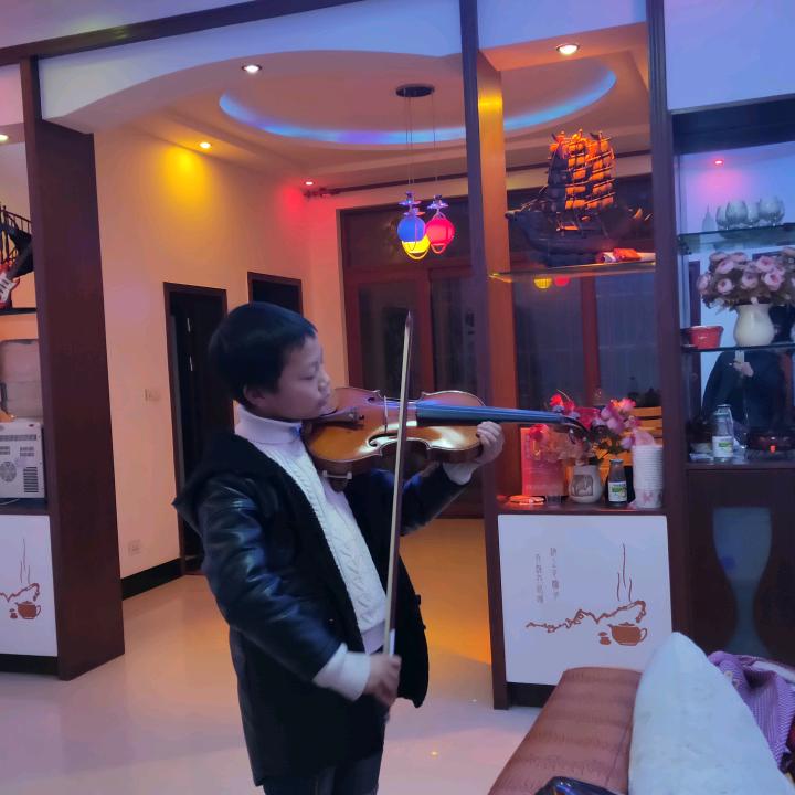 辉@琴音之韵《提琴制作室》