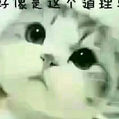 沧海尘梦