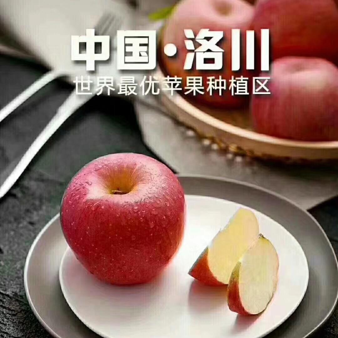 半亩果园