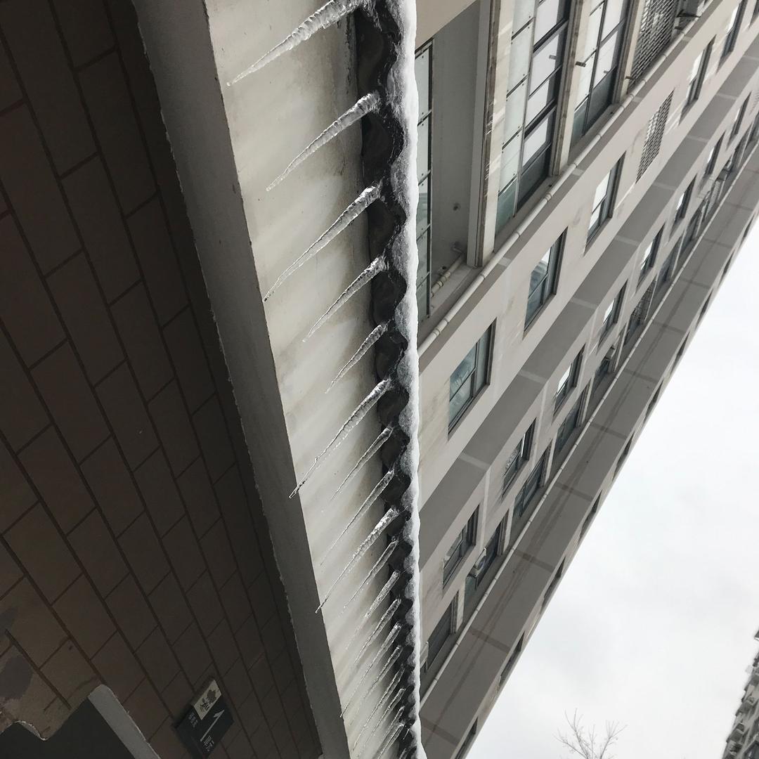 奔跑的蜗牛