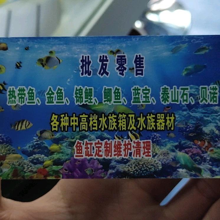 泉州鱼友之家鱼鸟行