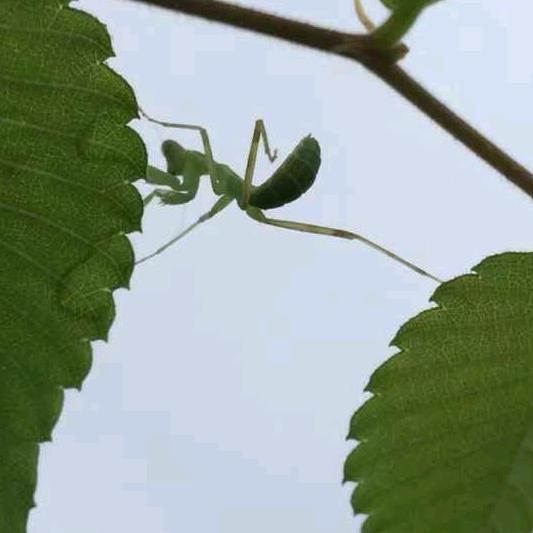 执着