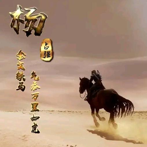 逍遥杨