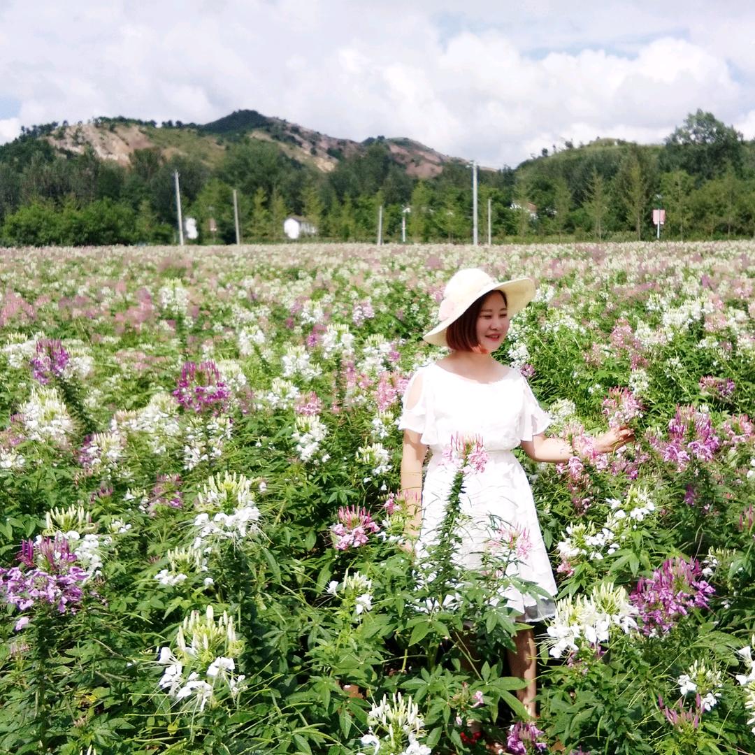 妍儿(丹凤妍美造型)