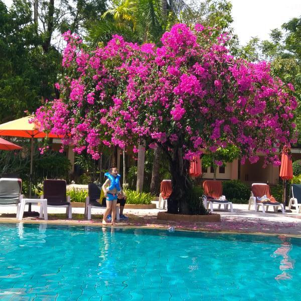 双鱼座的小彩虹🌈