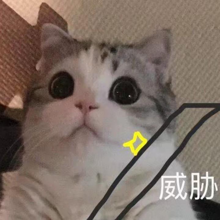 NS_blt