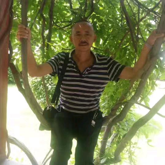 小葛