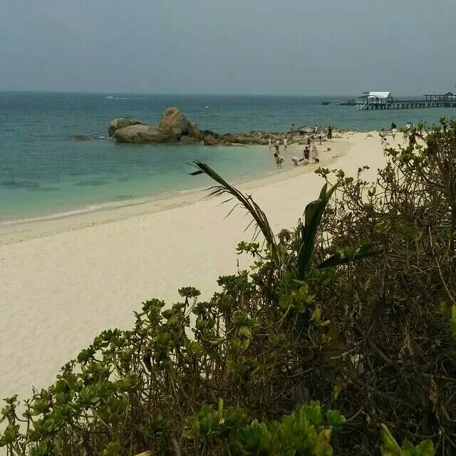 秋风~落叶