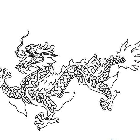 老沈