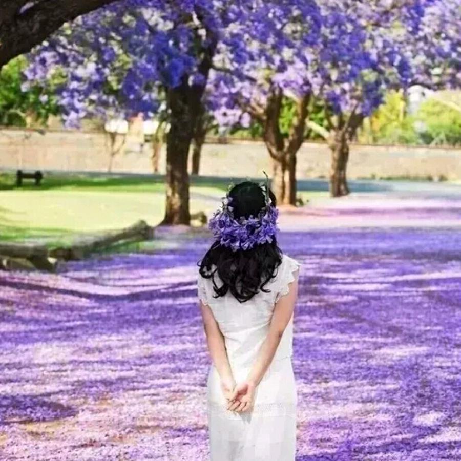 龍行⭐️快乐每一天⑧