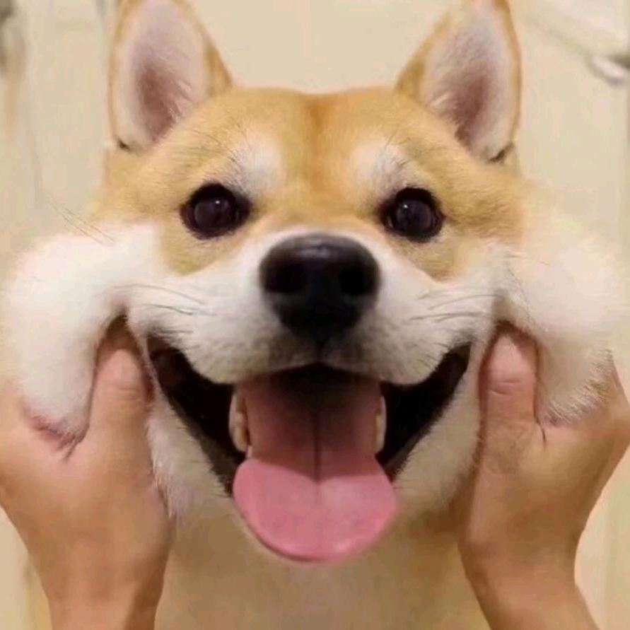 熏悟空