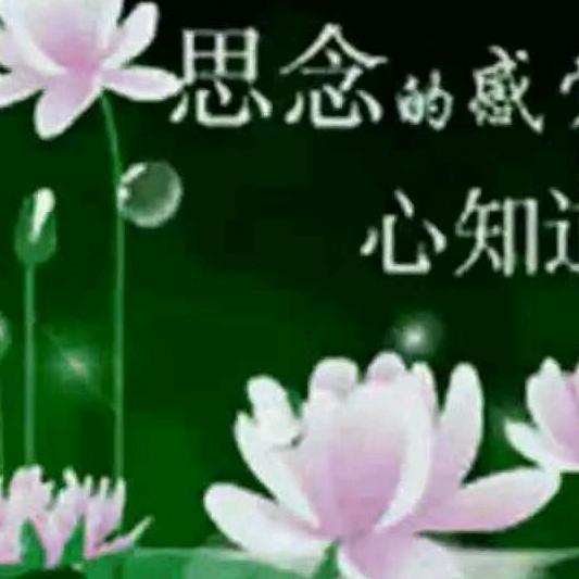 一支烟