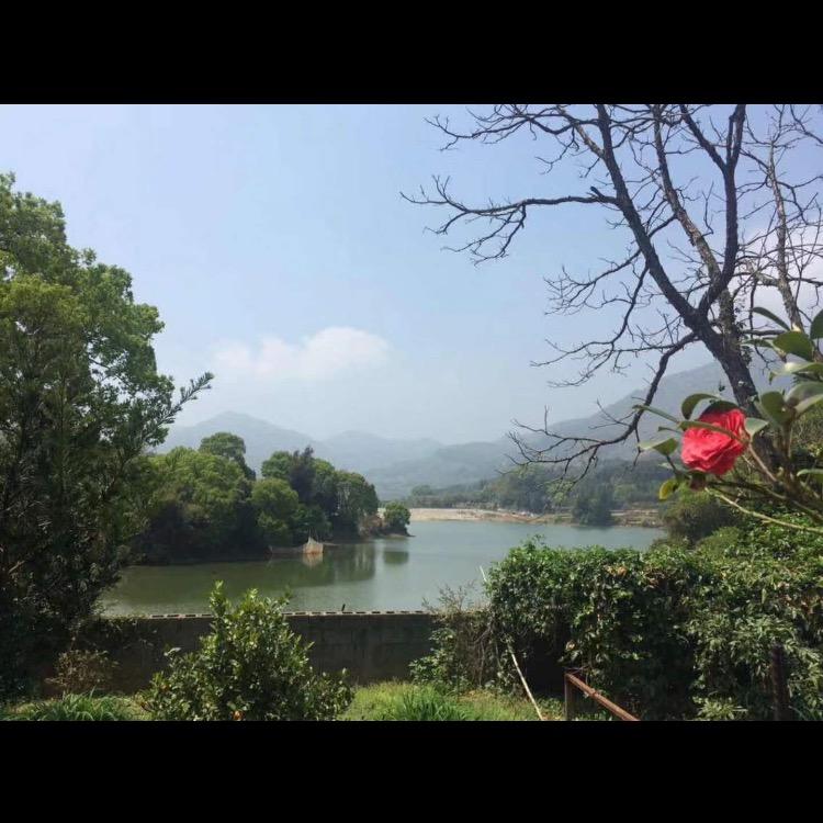 小钟
