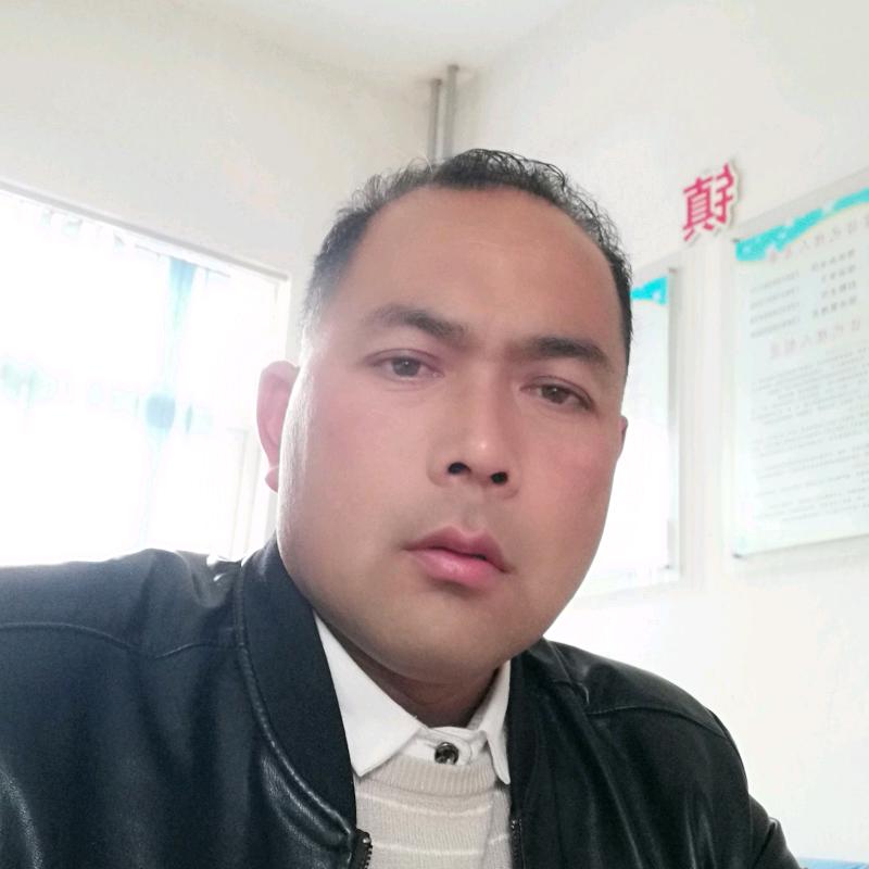 偃师裕丰303！鼎诺212玉米种天脊化肥