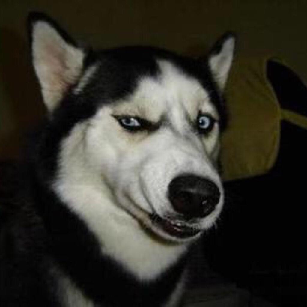 于是爱恨交错人消瘦ぃ