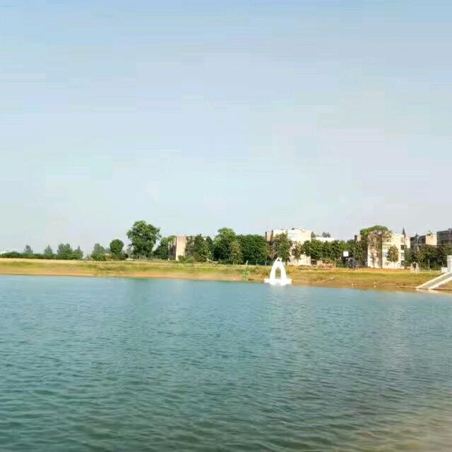 夏沫🍄¹⁹¹⁵