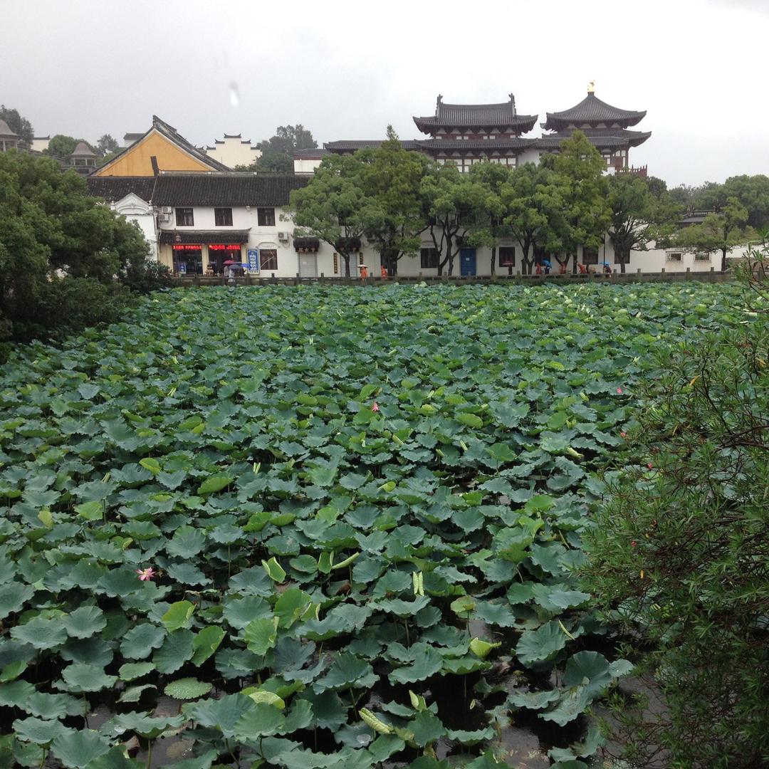 无崖子
