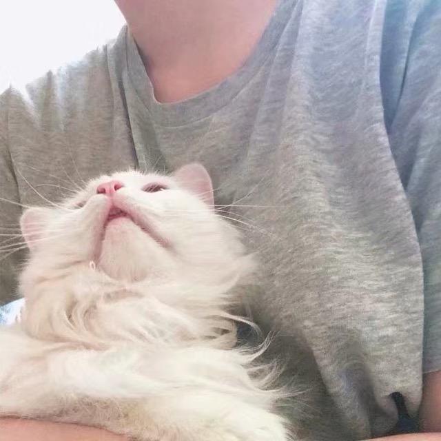 暖夕老表（国服达摩）@抖音