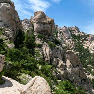 山东皇固金属科技有限公司