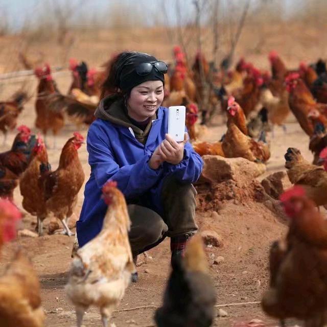 东乡区海旺孵化养殖场