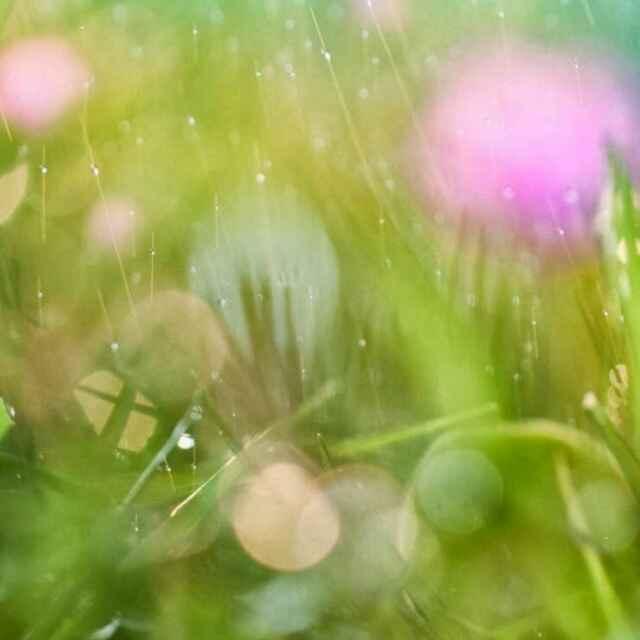 静雅