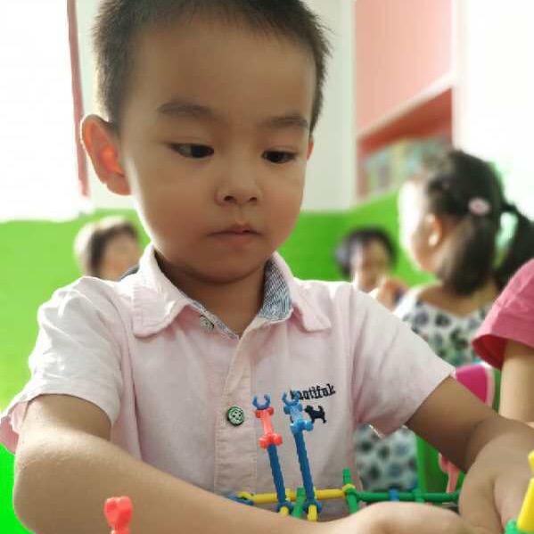 小八哥