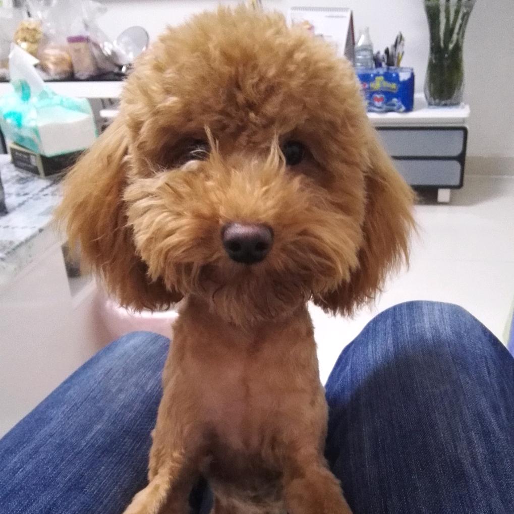 致青春