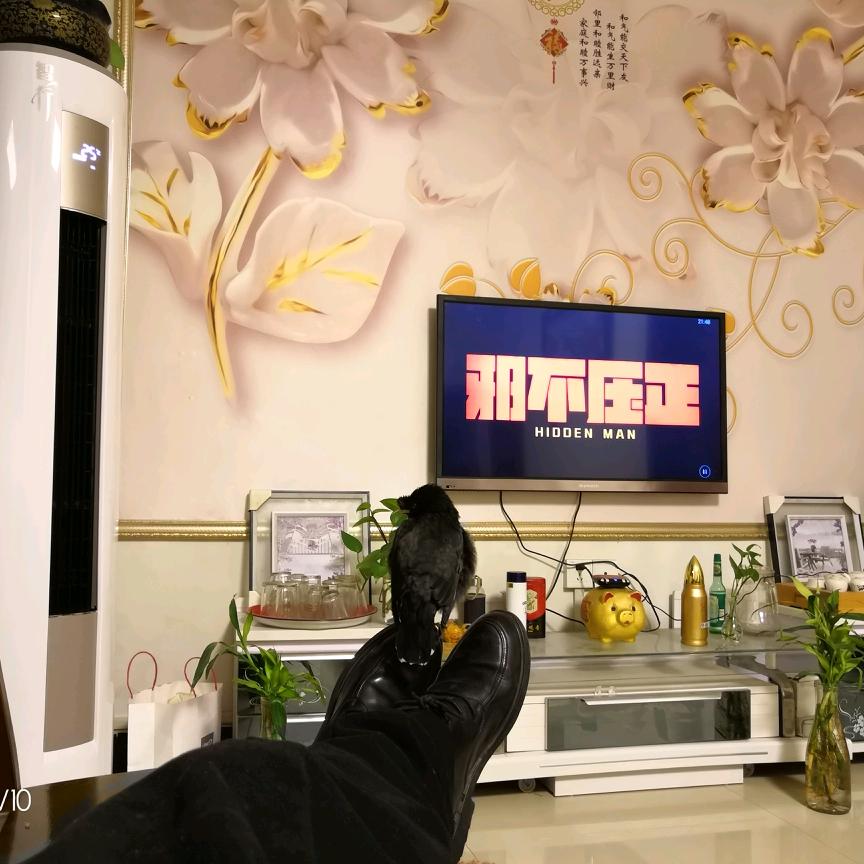 董先生
