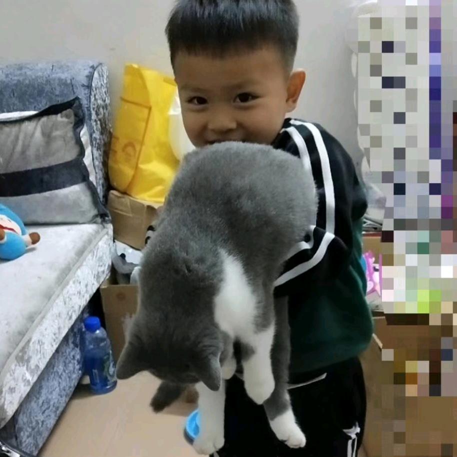 金晚打酱油