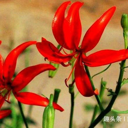 369852147，玲儿，（拒私聊）