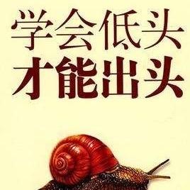 ✨礼