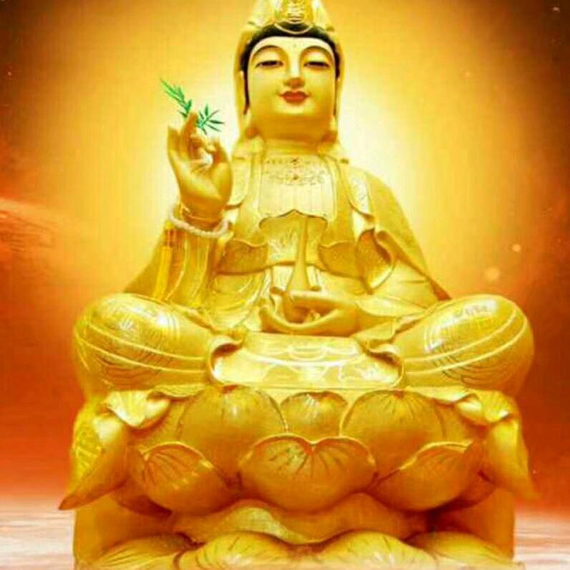 阿尼陀佛🙏