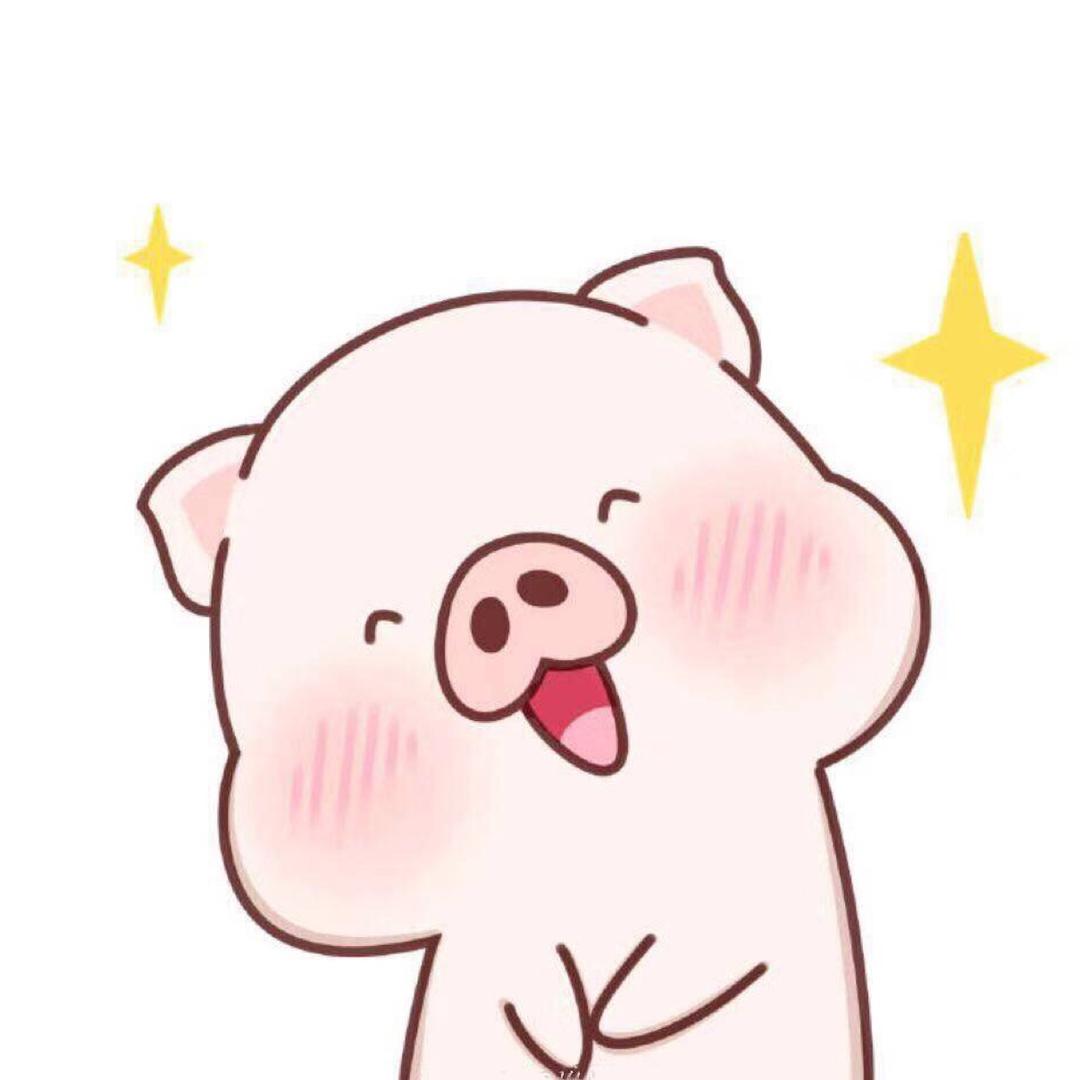 猪🐷肉丸子
