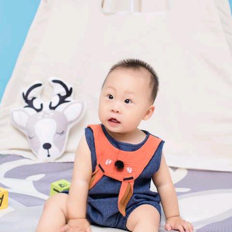 🍏尘埃落定🎤